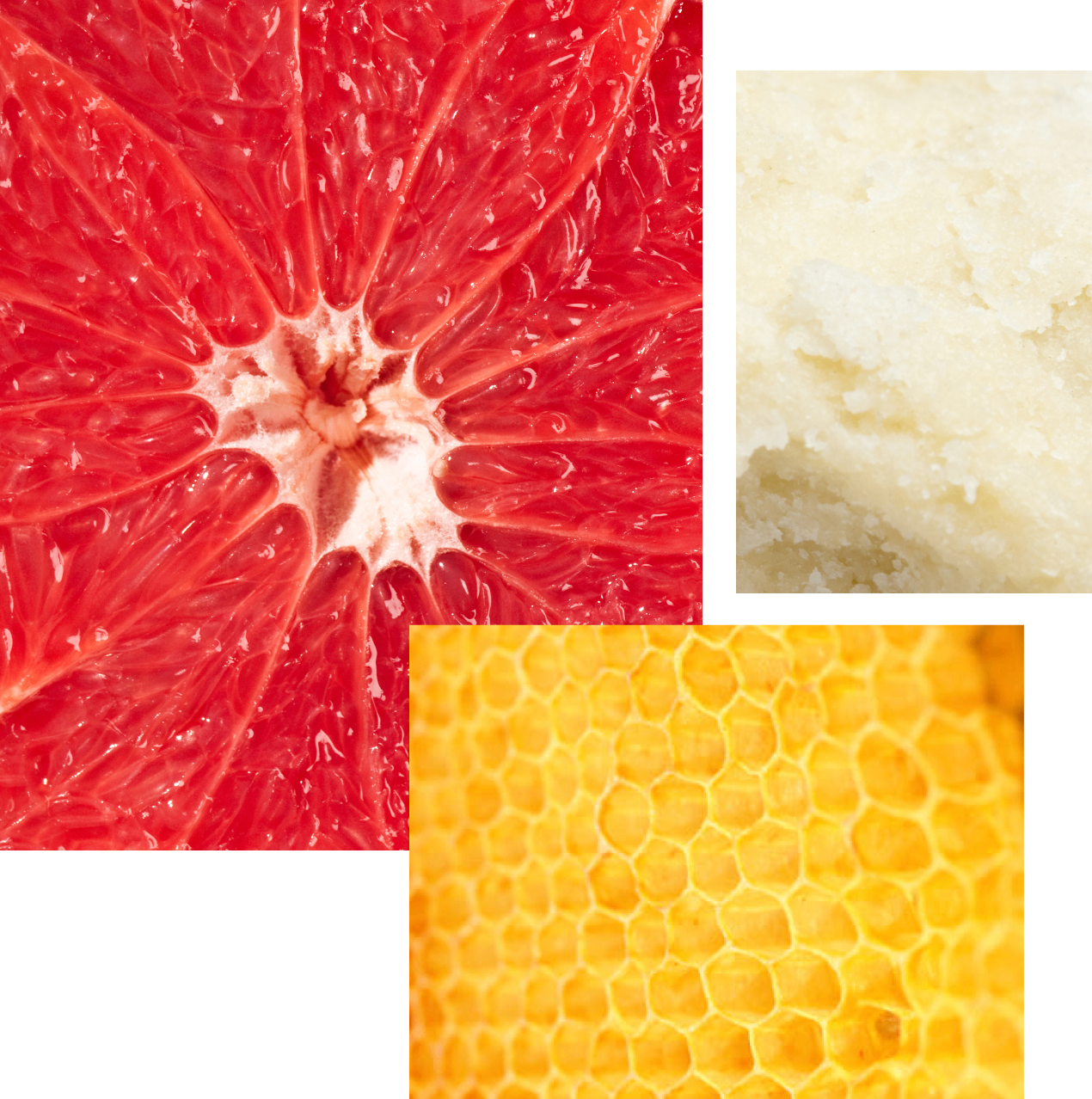 featured_ingredients_image.png