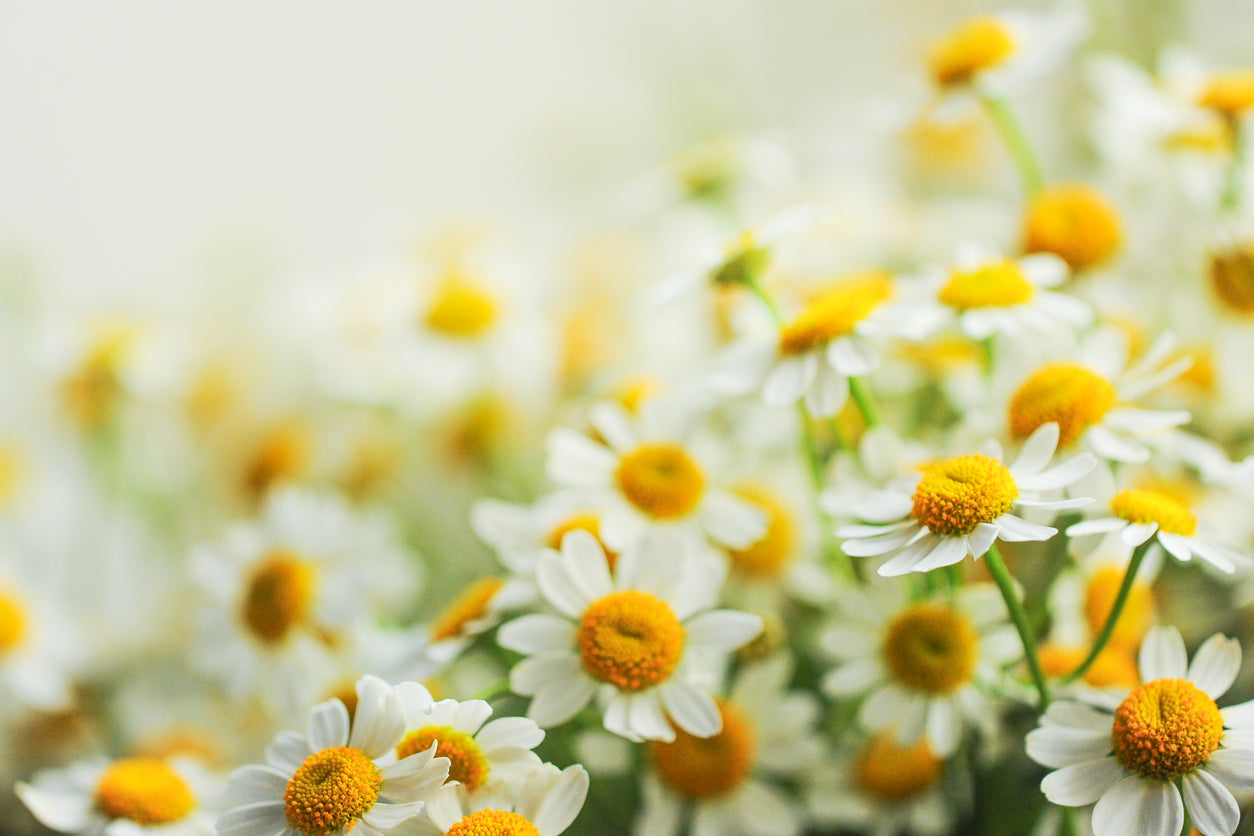 iStock-2147068453.jpg